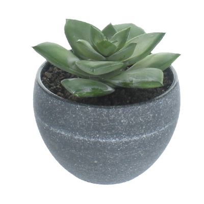 Realistic Artificial Succulent Plant In Grey Plant Pot 9cm
